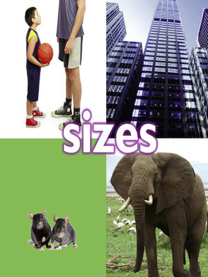 cover image of Sizes